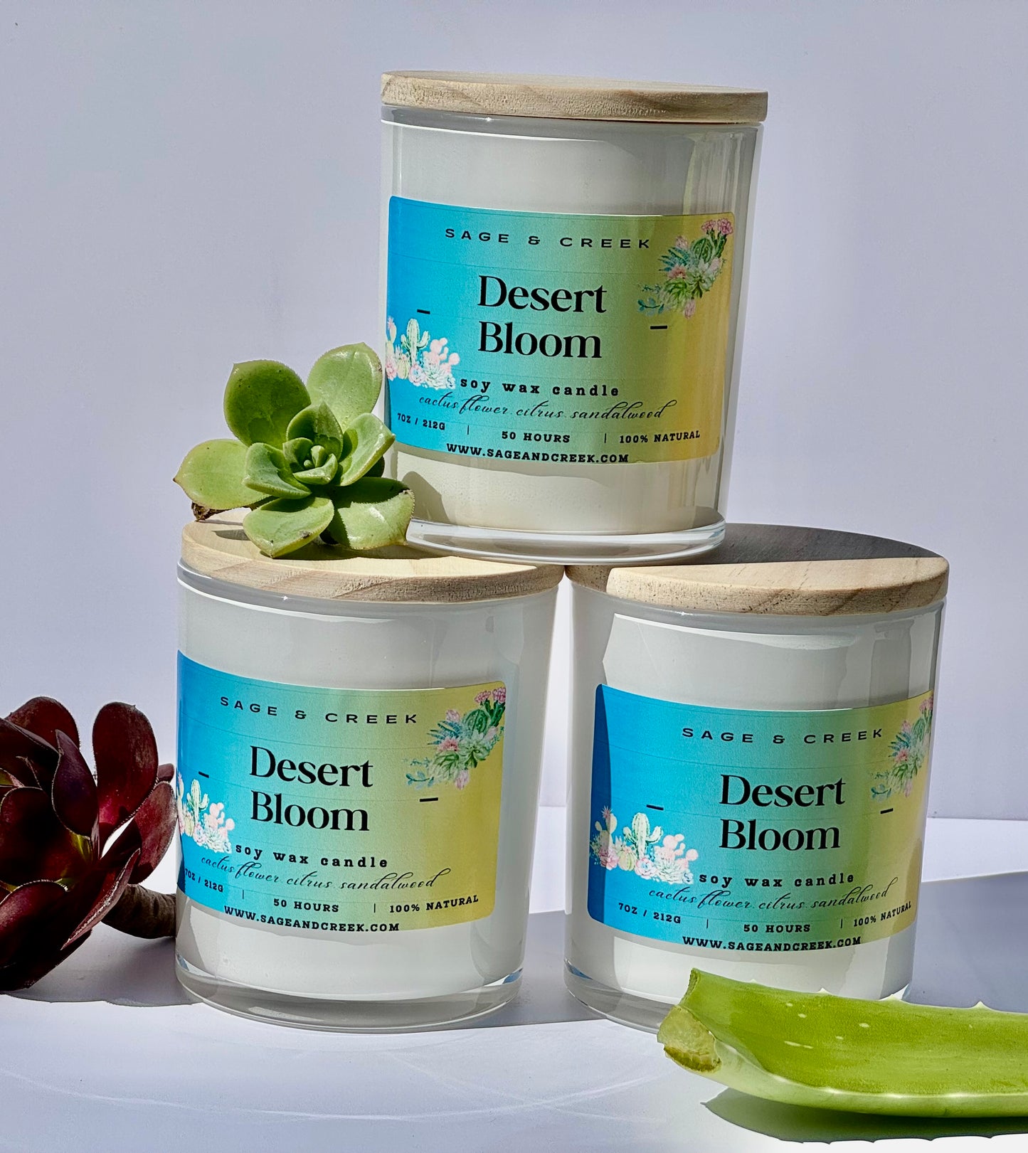 Desert Bloom