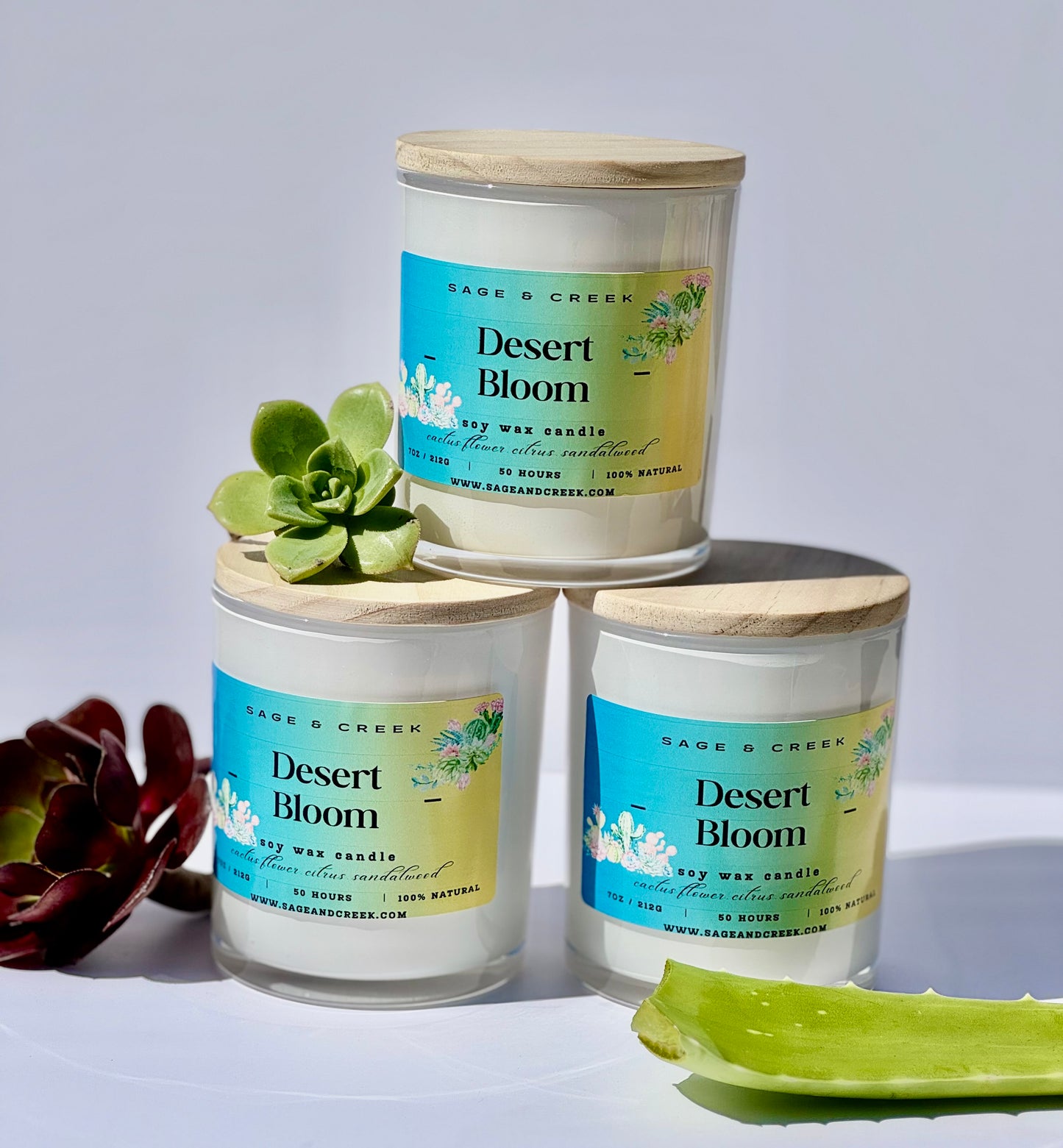 Desert Bloom
